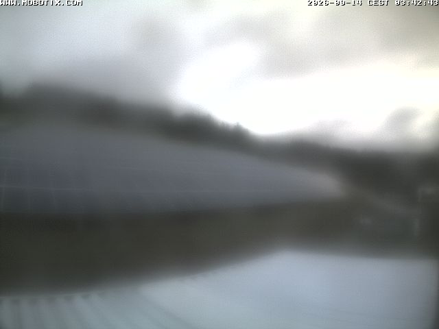 Camera Live Image