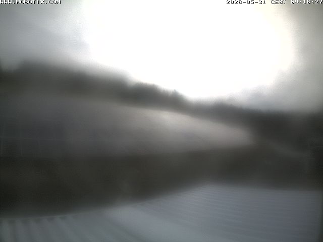 Camera Live Image