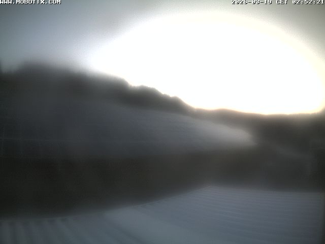 Camera Live Image