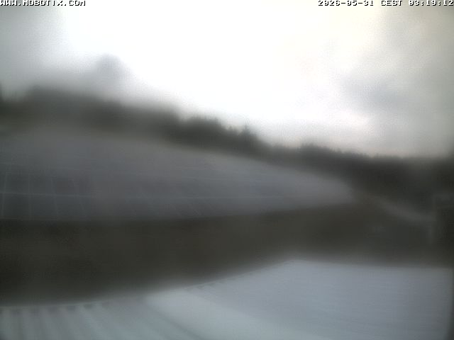 Camera Live Image